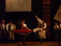 dsci1311.jpg